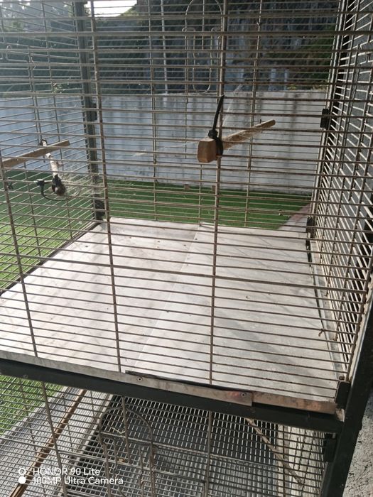 Gaiola para pássaros