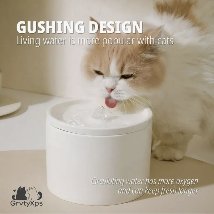 Фонтан для кота, фонтанчик для води