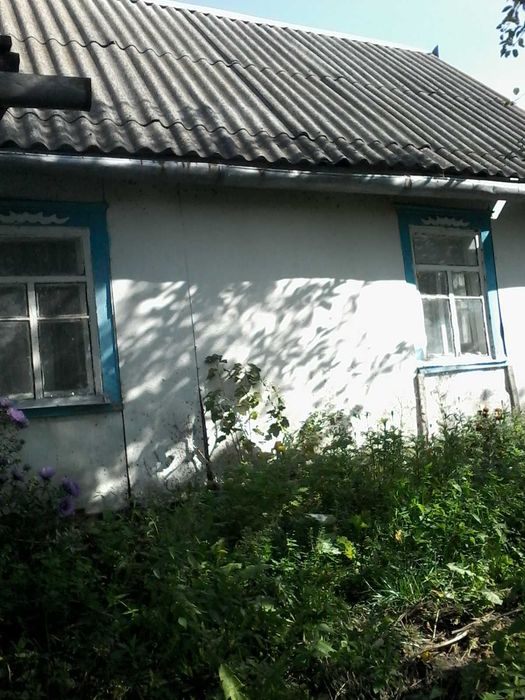 Продам будиночок в селі
