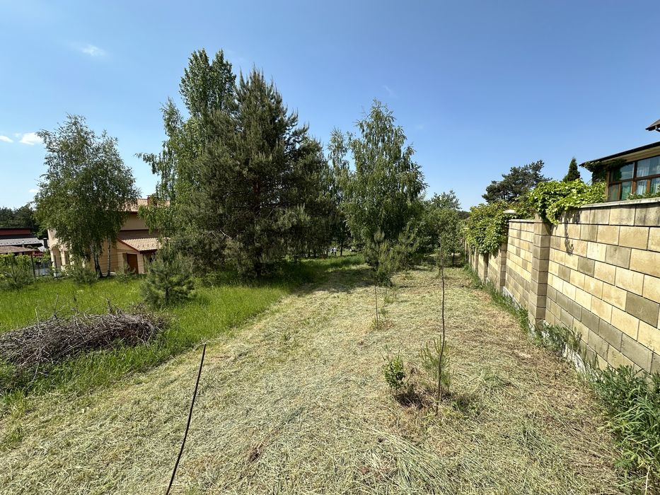 Віта-Поштова ділянка 2.1 Га, біля заповідника, ліс, сосни, комунікаціі