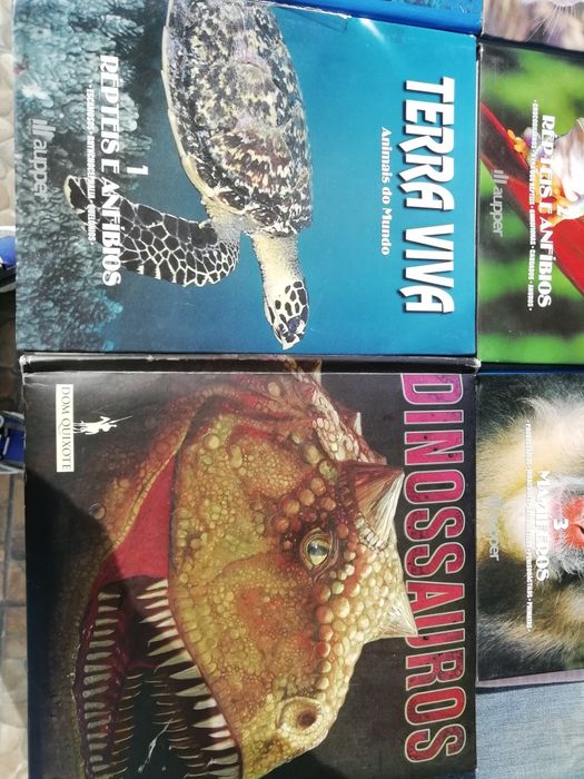 8 Lindos Livros Animais do Mundo