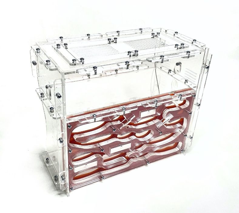 Duże, Szczelne Formikarium "Giant"​ do Hodowli Mrówek