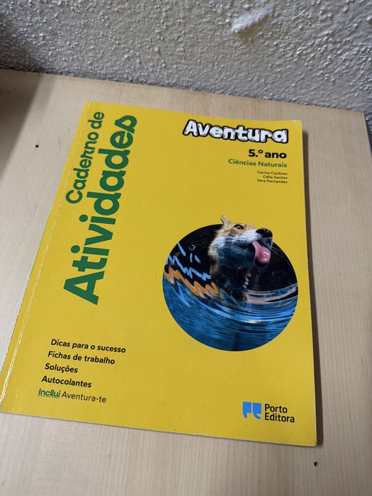 Cadernos de actividades 5° Ano (Fichas)