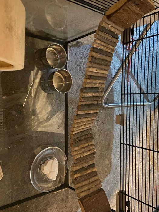 Gaiola para Roedores Pequenos