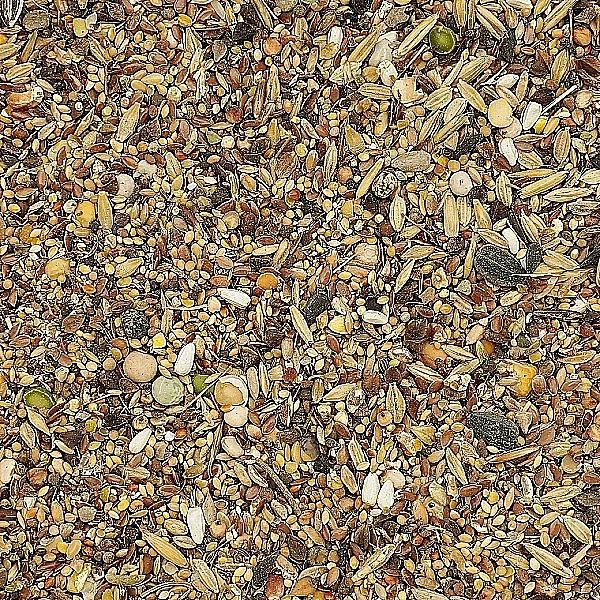 5kg Uniwersalna karma dla ptaków ziarno pokarm zimowy karmnik Champi