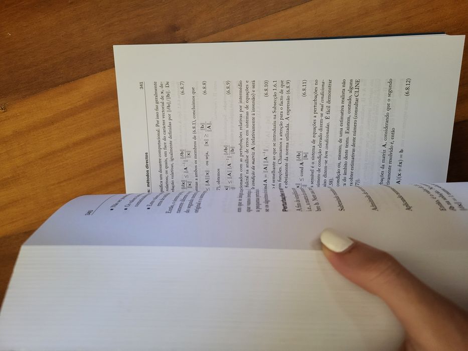 Livro | "Métodos Numéricos", de Heitor Pina