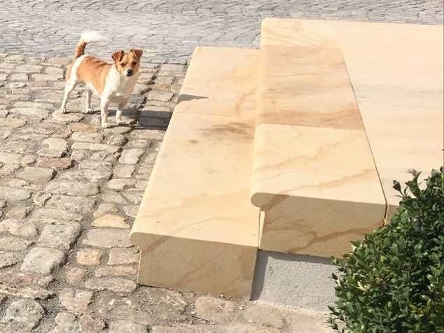 59. Stopień schodowy z piaskowca | Profil T05 |100×35×18 cm| Na wymiar