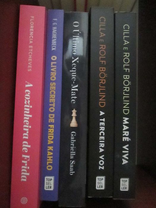 Livros diversos autores(2)