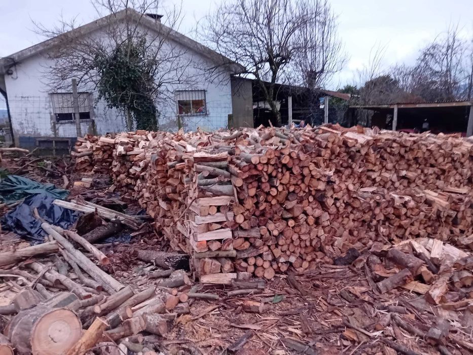 Lenha seca eucalipto