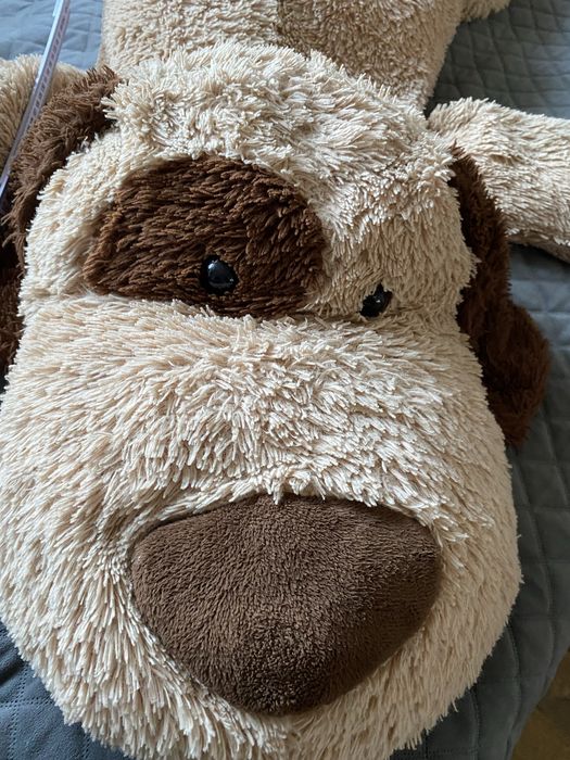 Maskotka duzy piesek