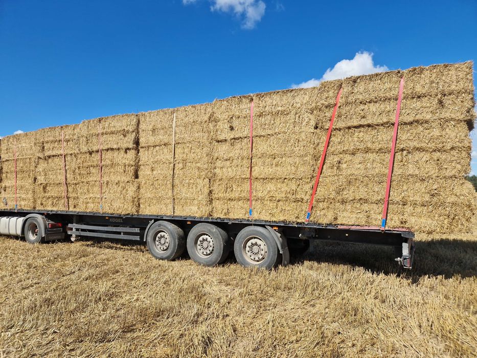Słoma paszowa jęczmienna owsiana duża kostka bele transport