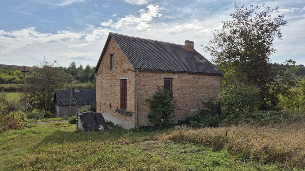 Будинок біля лісу