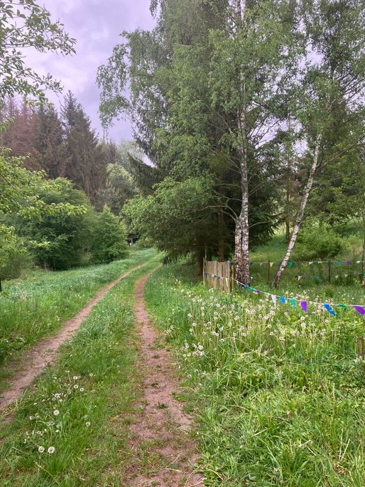 Działka na sprzedaż - Widok 5