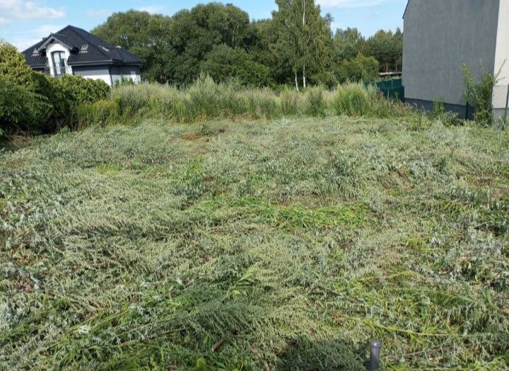 Koszenie trawy i wycinka drzew