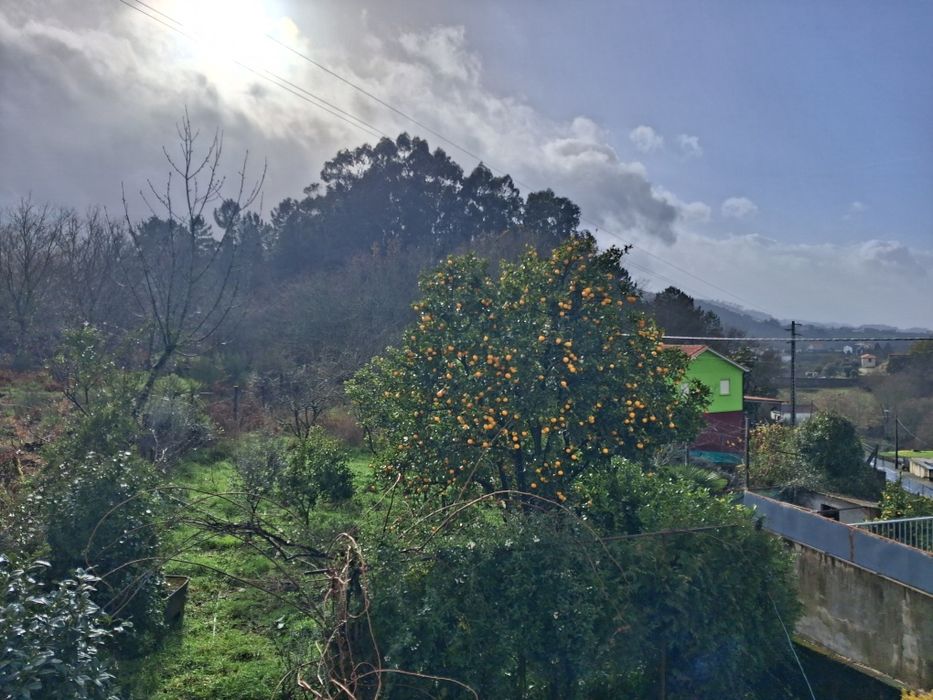 Arrendamento quarto solteiro