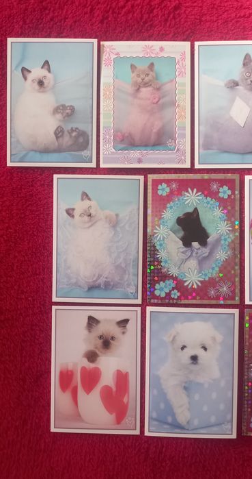 Conjunto de 10 Cromos Perfect Pets