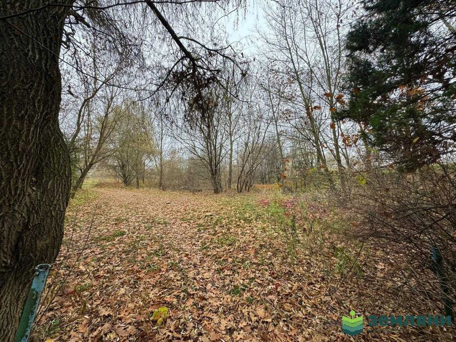 Земельна ділянка з приміщенням під комерцію Підлужжя (6)