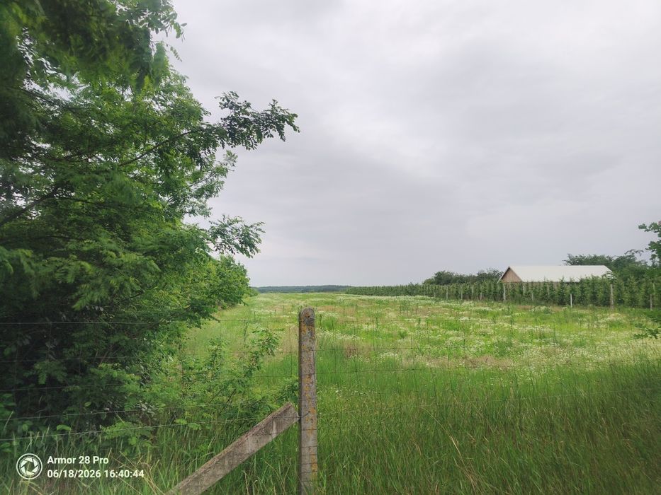 Działka z możliwością zabudowy - View 2