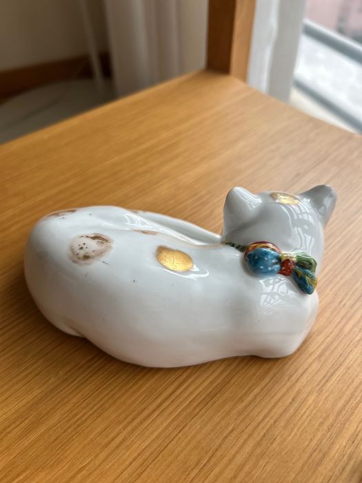 Gato da Vista Alegre
