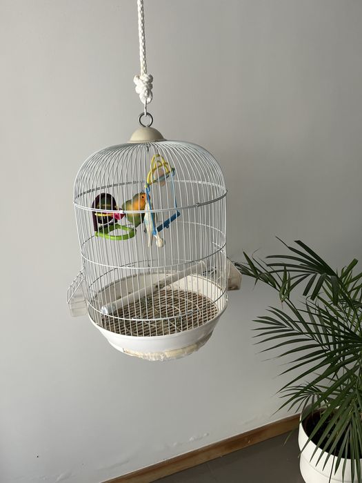 Gaiola para passaro