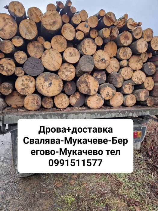 Дрова різних розмірів і пород+доставка