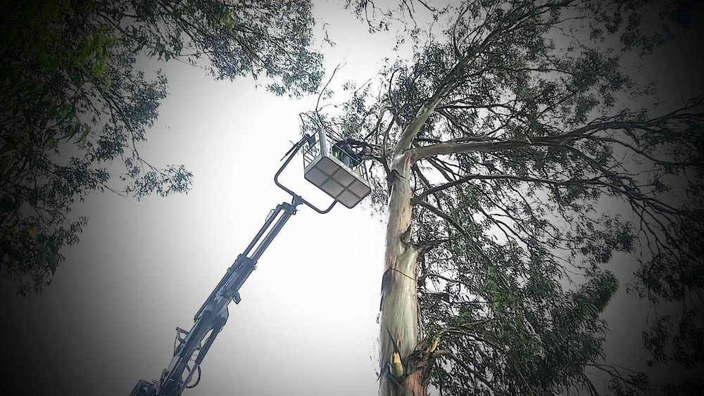 Serviço Aluguer camião grua elevação até 36ml