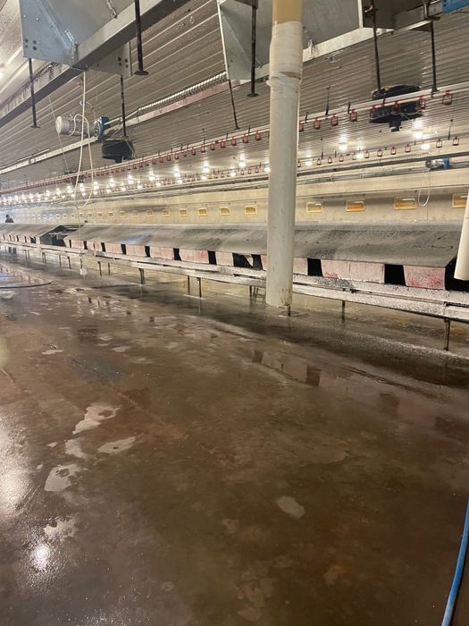 Mycie ferm drobiu pełna obsługa Kujawskie Centrum DDD