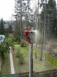 спиливание,срезание,срезка,обрезка,удаление деревьев,убрать деревья