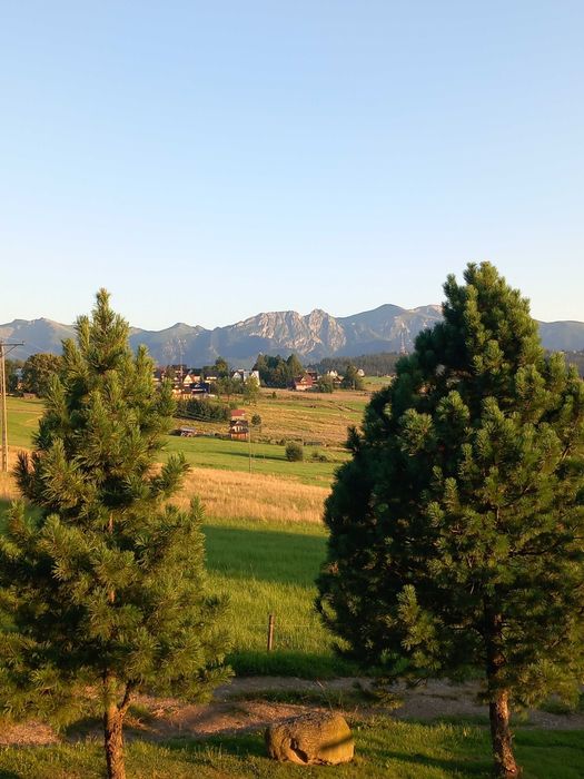 Zwolnił się pokój od 15-21.02.26r.  cisza,  spokój...  Zapraszamy  :)