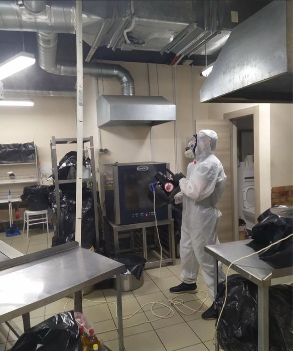 Травля тарганів блох клопів мишей крыс сколопендры. Удаление плесени