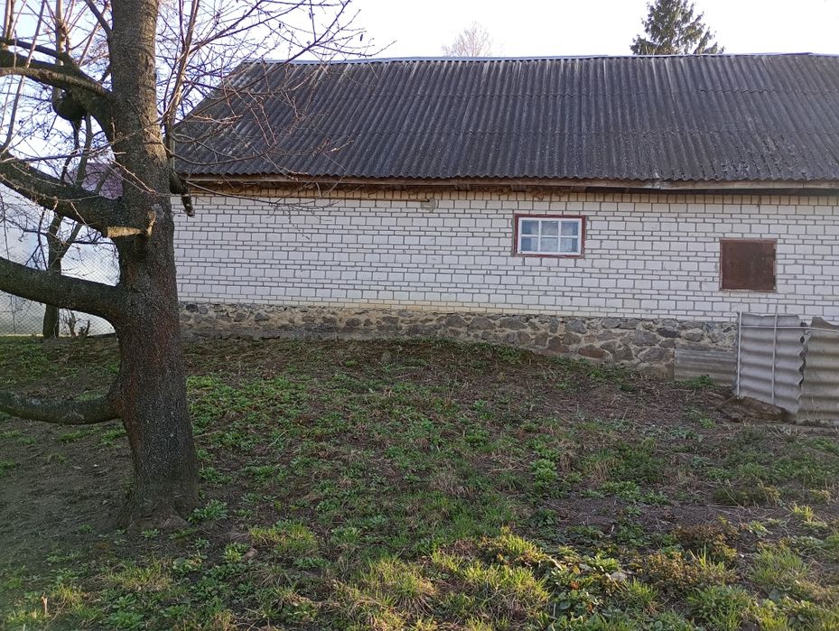 Хата в Монастирищі