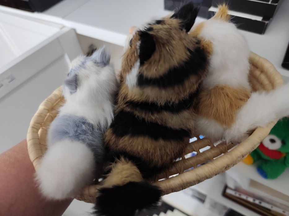 Cesto de gatos em pelo de coelho