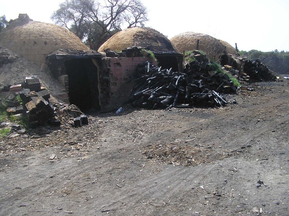 carvão de sobro puro