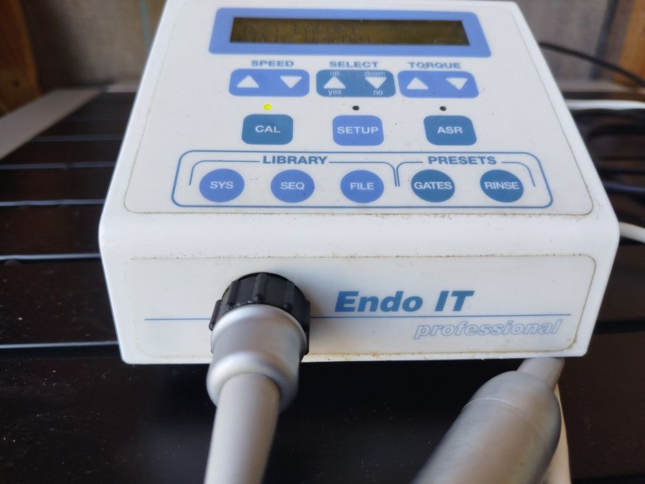 Endo IT Professional