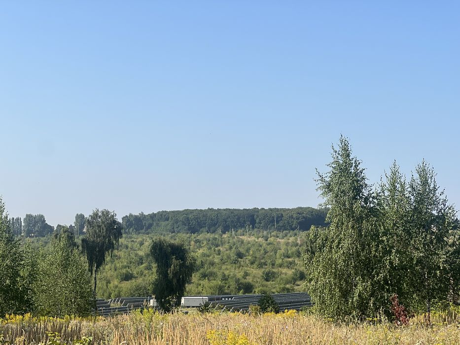 Ділянка 20 соток в березовому гаю
