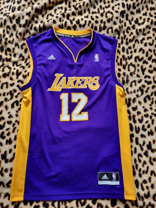 Los angeles lakers dwight howard