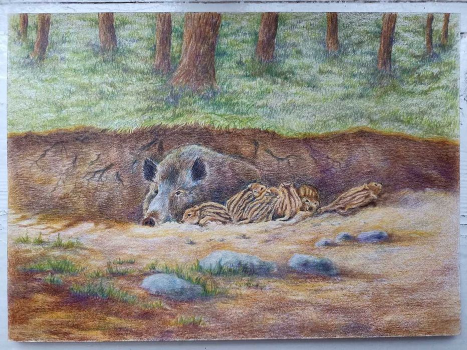 Картины пастелью, акварельными карандашами, акварелью, акрилом, маслом