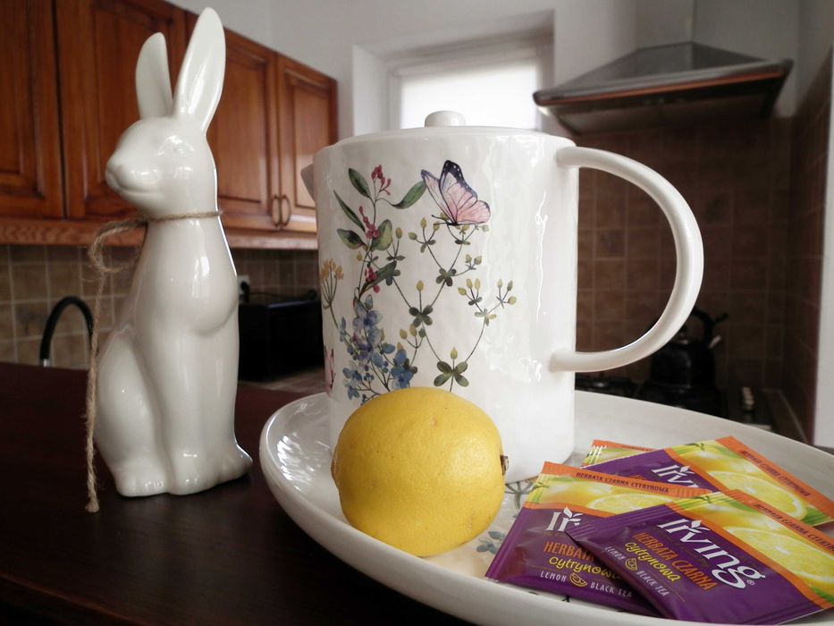 Sylwester!Klimatyzowany Dwupokojowy Apartament Przy Lesie;