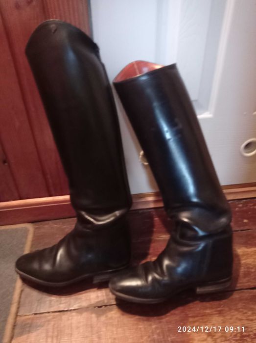 Buty kawaleryjki do jazdy konnej Petrie Saturn