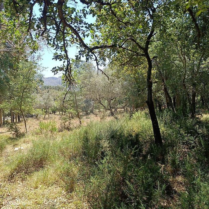 Terreno  para venda