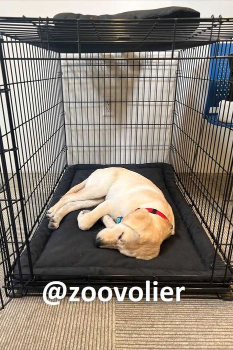 Клітка для собак та кішок S-XXL переноска манеж домик будка для собак