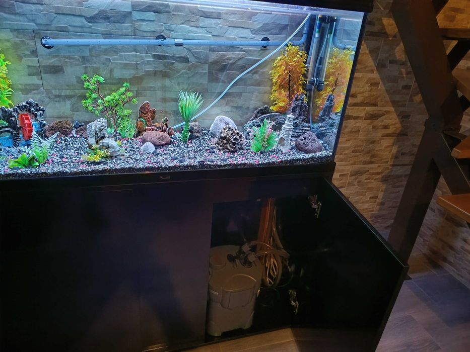 Aquário completo