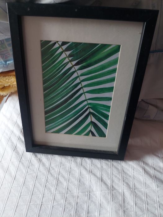 Conjunto de Molduras pretas  tamanhos. Parede quadros variados