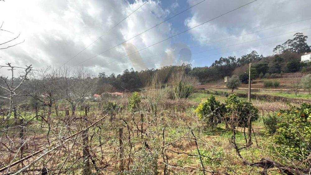 Terreno em ponte de Lima