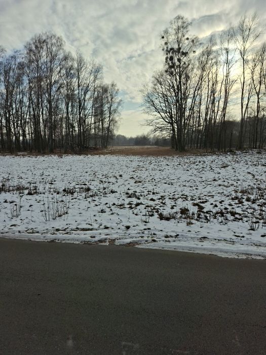 Działka budowlana w Ożarowicach ul. Zawodą