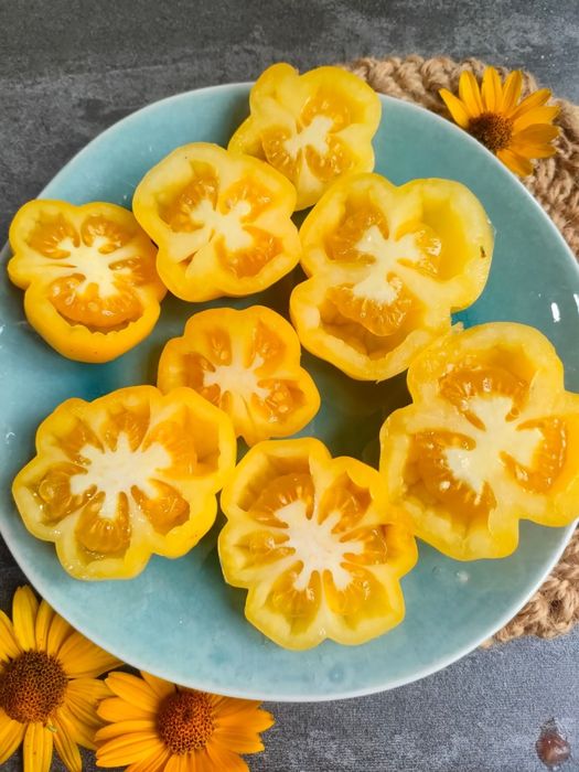 Набір насіння томатів "Український"