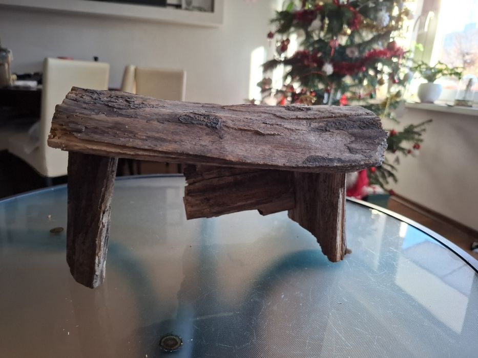 Duży domek do terraium