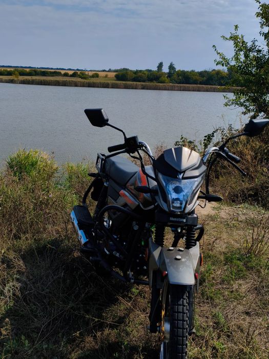 Продам Mustang fit 2