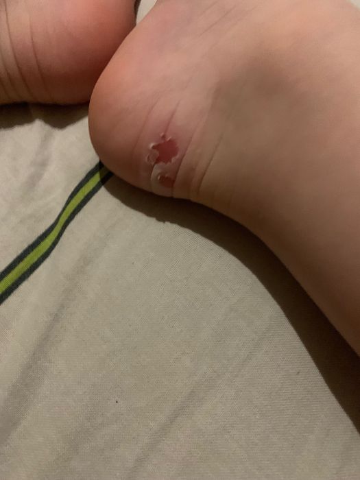 Стільчик для годування Chicco