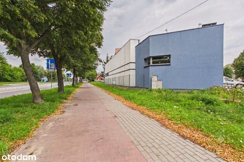 Zdjęcie 3